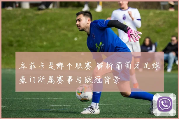 本菲卡是哪个联赛 解析葡萄牙足球豪门所属赛事与欧冠背景