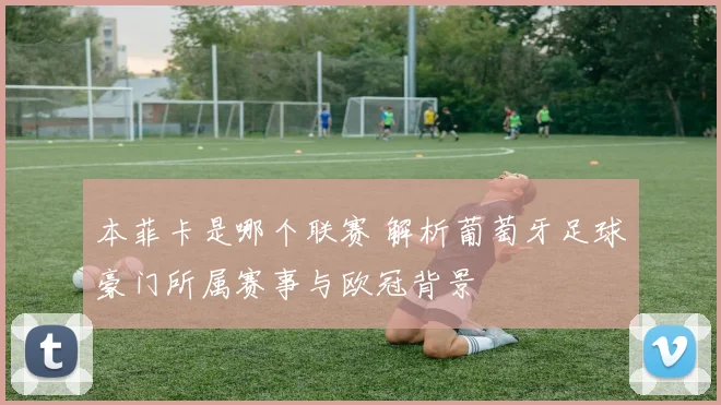 本菲卡是哪个联赛 解析葡萄牙足球豪门所属赛事与欧冠背景